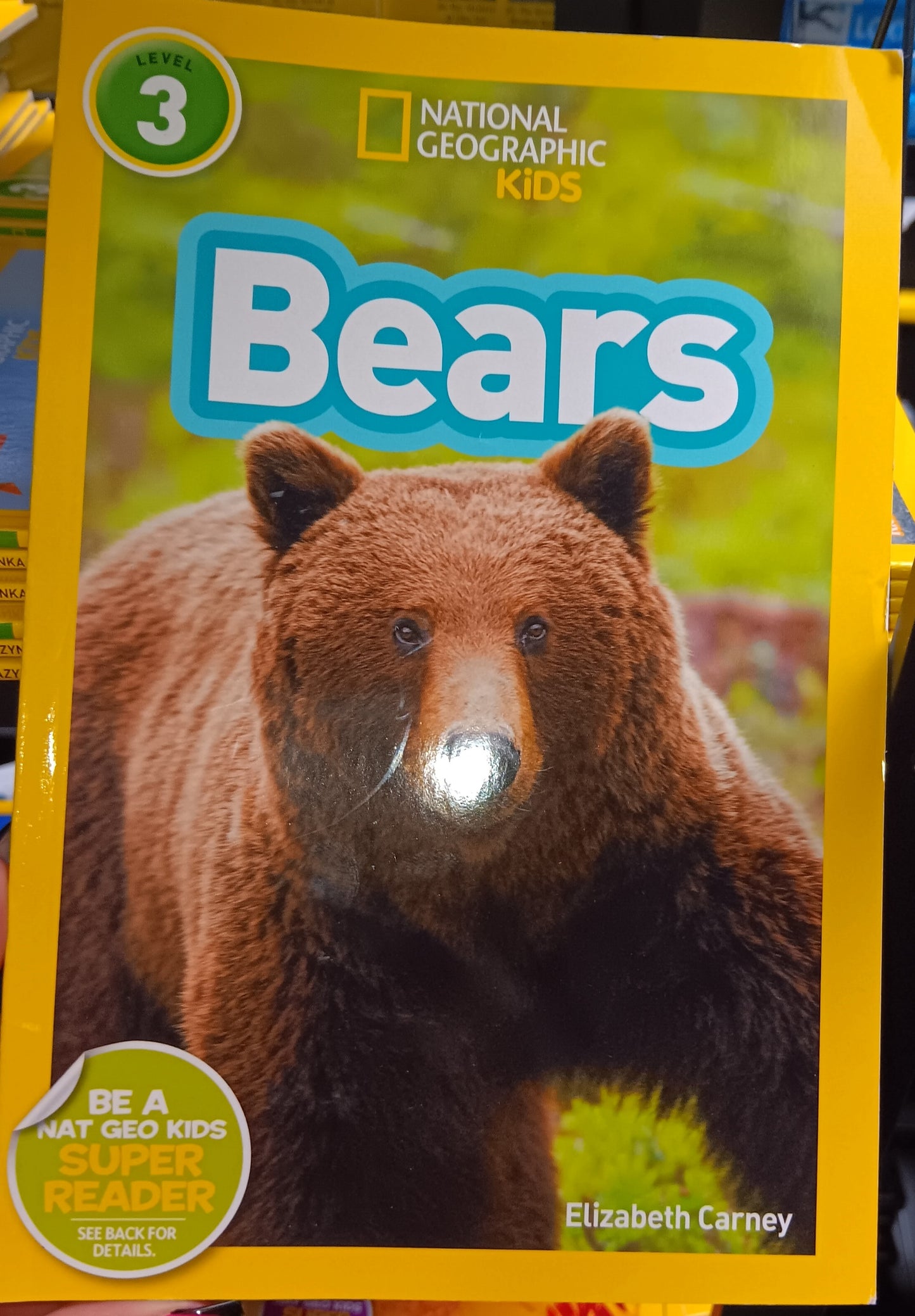 BEARS - NATIONAL GEOGRAPHIC