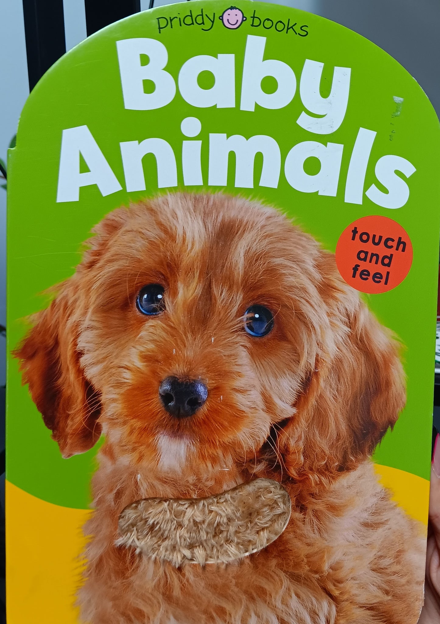 BABY ANIMALS