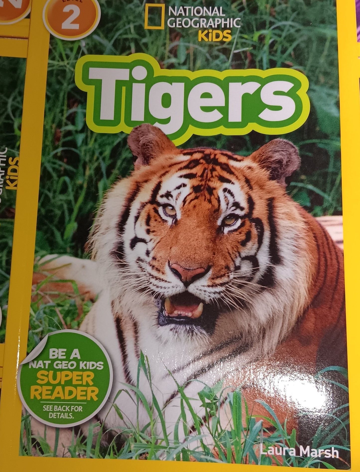 TIGERS - NATIONAL GEOGRAPHIC
