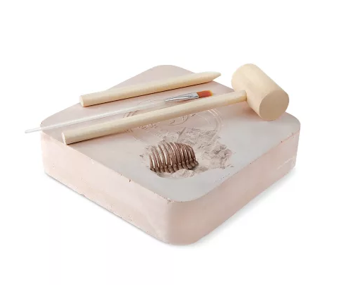 T-Rex Fossil Dig Excavation Kit