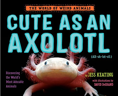 CUTE AS AN AXOLOTL: DISCOVERING THE WORLD’S MOST ADORABLE ANIMALS (THE WORLD OF WEIRD ANIMALS)