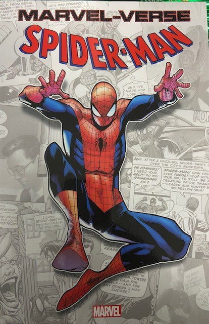 MARVEL-VERSE SPIDER-MAN