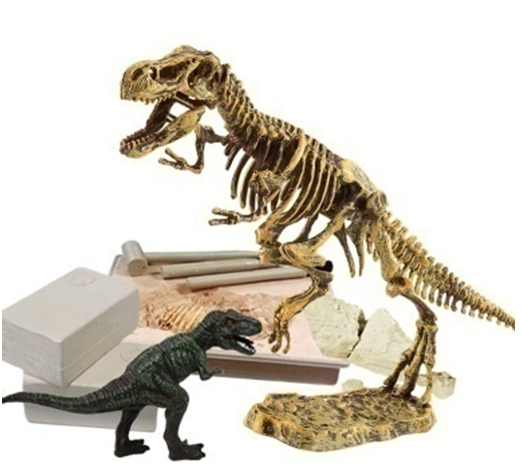 Tyrannosaurus Rex Dinosaur Bones and Dino Fossil Dig Excavation Set